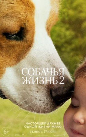 Постер к Собачья жизнь 2